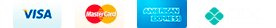 Payment logo